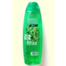 Chopa šampon Bříza 500 ml