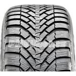 CST Medallion Winter WCP1 195/55 R16 91V – Hledejceny.cz