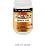 Magnex Citrate 375mg+B6 100 chew tablet – Hledejceny.cz