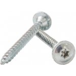 Gutta Galvanizovaný vrut 100ks/bal - 3410416 – Hledejceny.cz