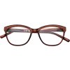 Zippo brýle na čtení 31ZPR79-200