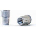 BRALO Nýtovací matice REDUKOVANÁ ZÁPUSTNÁ HLAVA vroubkované tělo pozink ZNB Varianta: MATICOVÝ NÝT M6 VROUBKOVANÁ ZH OCEL A3K – Zboží Mobilmania