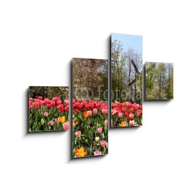 Obraz 4D čtyřdílný - 120 x 90 cm - Holland windmills and tulips Holland větrné mlýny a tulipány – Zboží Mobilmania