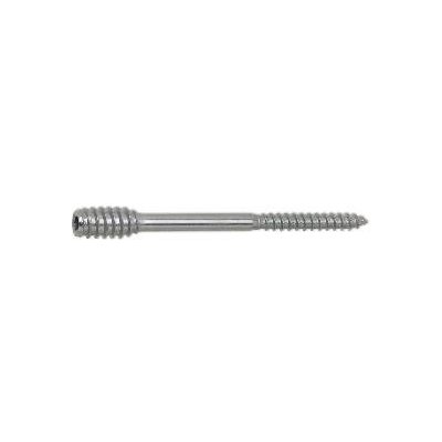 Distanční vrut 6x10x 80 Torx 25 pozink. (50 ks) – Hledejceny.cz