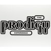 Hudba Prodigy - Experience LP