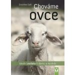 Chováme ovce – Hledejceny.cz