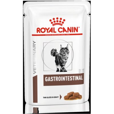 Royal Canin VHN Cat Gastro Intestinal 12 x 85 g – Zboží Mobilmania