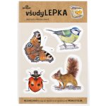 VšudyLepka Lesní svět vel. 1 043 mix zvířátek – Zboží Dáma