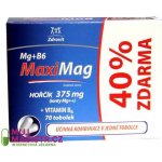 Zdrovit MaxiMag Hořčík 375 mg + B6 70 kapslí – Hledejceny.cz