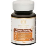 Maharishi Ayurveda Triphala Guggulu 60 tablet – Hledejceny.cz