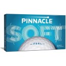 Pinnacle Soft