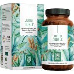 Naturtreu Pramen mládí Komplex kyseliny hyaluronové, aloe vera, šipek a biotinu 90 kapslí – Hledejceny.cz