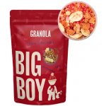 Big Boy Proteinová granola s bílou čokoládou a ovocem 360 g – Zboží Dáma