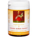 TCM Herbs 200 Lingzhi kořen života prášek 30 g – Hledejceny.cz