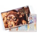 Renesans Sada suchých pastelů 36 ks – Zboží Dáma Renesans Sada suchých pastelů 36 ks – Zboží Dáma