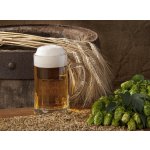WEBLUX 33797507 Fototapeta papír beer with barley and hops pivo s ječmenem a chmelem rozměry 360 x 266 cm – Hledejceny.cz