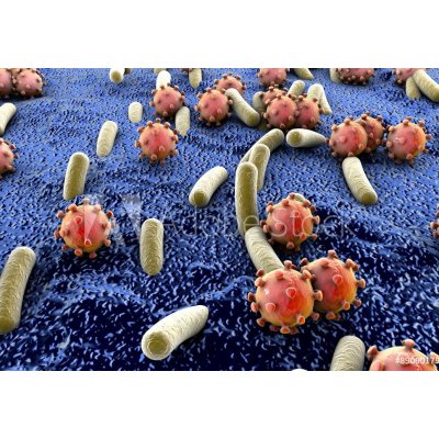 WEBLUX 89000179 Samolepka fólie Bacteria and viruses on surface of skin Bakterie a viry na povrchu kůže sliznice nebo střeva model MERS HIV chřipka Escherichia col rozměry 145 x 100 cm