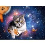 RAVENSBURGER Kočky ve vesmíru 1500 dílků – Zboží Dáma