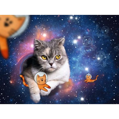 RAVENSBURGER Kočky ve vesmíru 1500 dílků