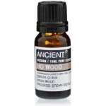 Ancient Wisdom Ho Wood Ho sho Lianolové dřevo 100 % přírodní silice esenciální olej 10 ml – Hledejceny.cz