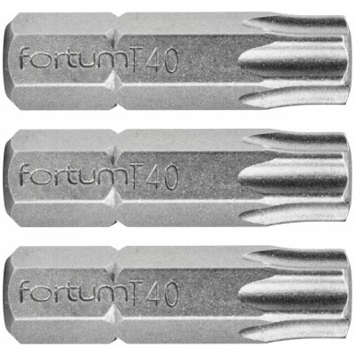 FORTUM-KITO Hrot TORX 3ks T 40 x 25 mm S2 – Zboží Mobilmania