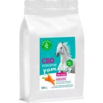 Zelená Země CBD pamlsky pro koně mrkev 0,5 kg – Hledejceny.cz