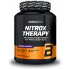 BioTech USA NitroX Therapy 17 g