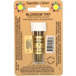 Sugarflair Jedlá prachová barva Nutkin Brown 7 ml – Hledejceny.cz