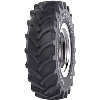 Ascenso TDR 850 R1-W 460/85-38 167D TL – Hledejceny.cz