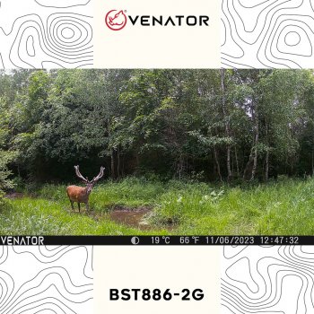 Venator BST886-2G