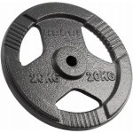REBEL ACTIVE Závaží litinová 20 kg otvor 31 mm – Zboží Dáma