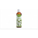 Serafin Gotukola tinktura z bylin 50 ml – Hledejceny.cz
