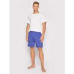 Calvin Klein NM1868E 5US pánské pyžamové šortky s potiskem tm.modré – Zboží Mobilmania