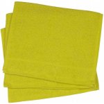 Profod Ručník Sofie zelená pistáciová 30 x 50 cm – Zboží Dáma
