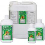 Advanced Hydroponics Root Stimulator 500 ml – Hledejceny.cz