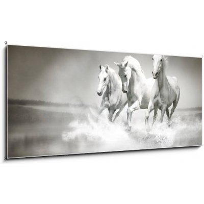 Obraz 1D panorama - 120 x 50 cm - Herd of white horses running through water Stádo bílých koní protéká vodou – Zboží Mobilmania