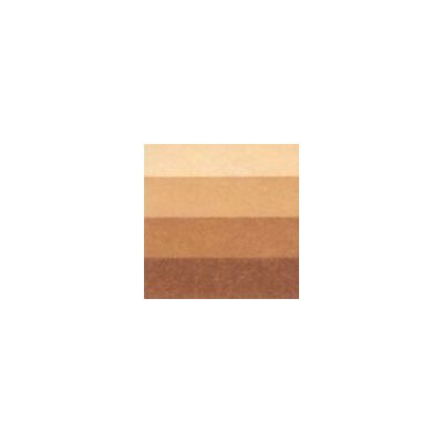 Charbonnel Grafická barva 200 ml burnt umber – Sleviste.cz