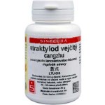 Sinecura Atraktylod vejčitý prášek cangzhu 20 g – Hledejceny.cz