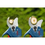 Bosch GGP18V-32 Professional 0.600.8D8.200 – Zboží Dáma