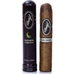 Davidoff Escurio Robusto Tubos – Zboží Dáma