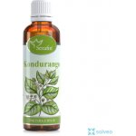 Serafin tinktura z bylin Kondurango Condurango 50 ml – Hledejceny.cz
