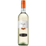 Cielo Pinot Grigio 2025 Blu Collection 12% 0,75 l (holá láhev) – Hledejceny.cz