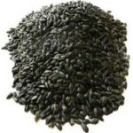 Biokron Slunečnice černá 20 kg – Sleviste.cz
