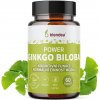 Doplněk stravy Now Foods Ginkgo Biloba 60 mg 60 kapslí