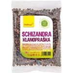 Wolfberry Schizandra plod Klanopraška 50 g – Zboží Mobilmania