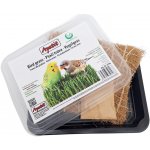 Apetit ptačí tráva pěstební miska kokos.rohož 30 g – Hledejceny.cz