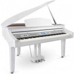 Medeli GRAND510 – Sleviste.cz