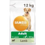 Iams Dog Adult Large Lamb 12 kg – Hledejceny.cz