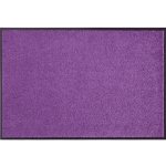 Hanse Home Wash & Clean 103838 Violett 90x150 cm – Sleviste.cz