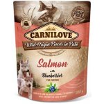 Carnilove Pouch Paté Salmon & Blueber Puppies 300 g – Zboží Dáma